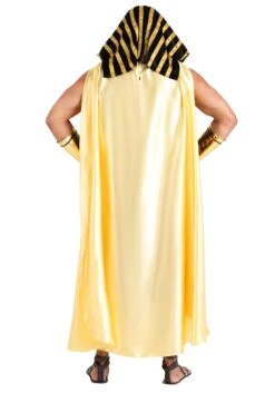 Dreamgirl Plus Size King Of Egypt Costume 21 Dreamgirl Plus Size King Of Egypt Costume -Halloween Costumes plus size king of egypt costume alt 9