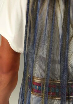 Plus Size King Tut Costume For Men -Halloween Costumes plus size king tut costume alt 5