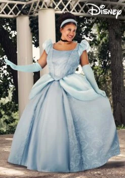 Women's Plus Size Disney Premium Cinderella Costume