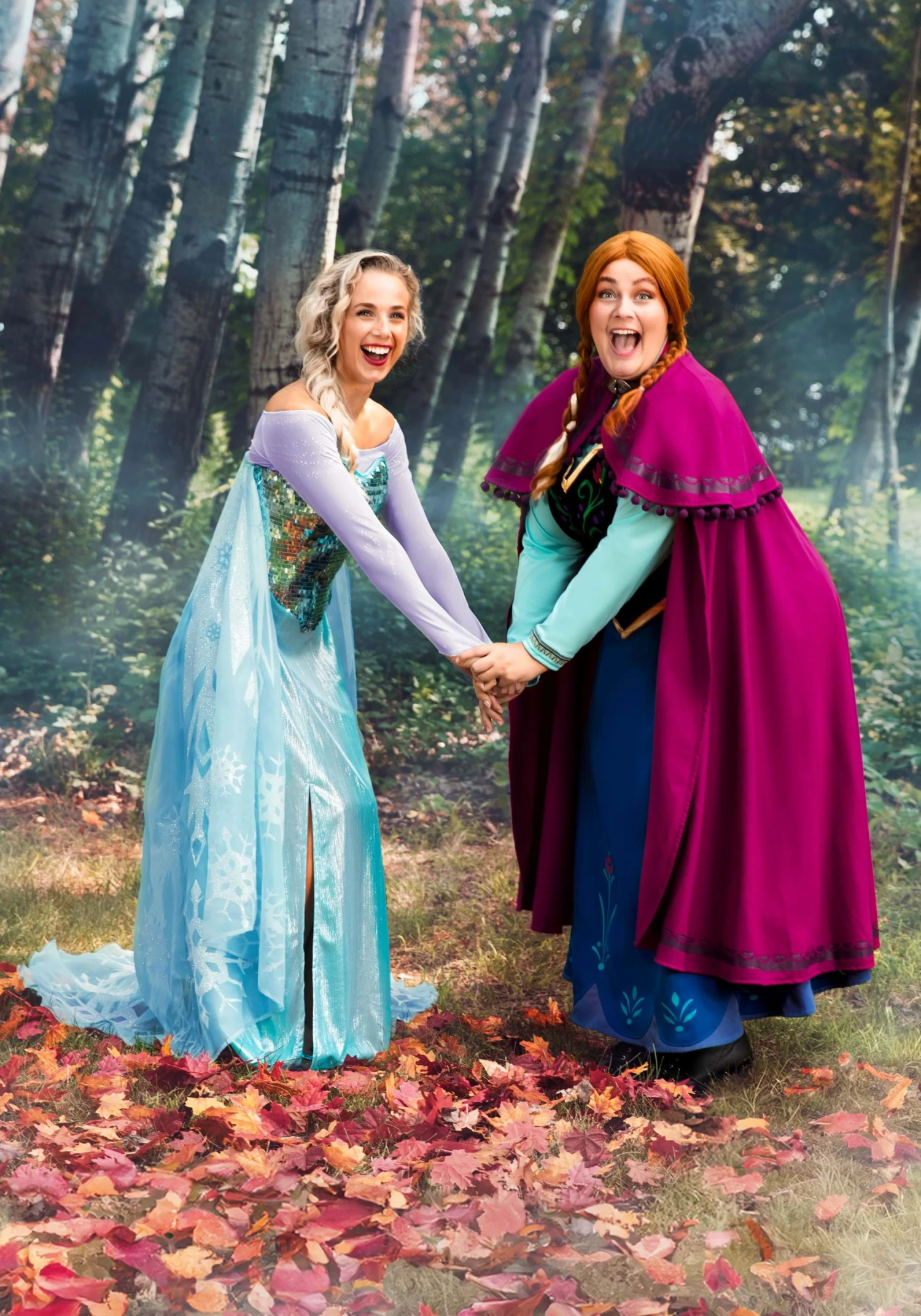 Women's Plus Size Premium Disney Frozen Elsa Costume 5 Women's Plus Size Premium Disney Frozen Elsa Costume - Image 3
