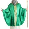 Plus Size Saint Patrick Men's Costume