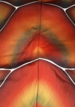 Plus Size Sea Turtle Costume For Adults -Halloween Costumes plus size sea turtle costume alt 6