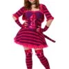 Plus Size Sexy Wonderland Cat Women's Costume 1 Plus Size Sexy Wonderland Cat Women's Costume -Halloween Costumes plus size sexy wonderland cat costume