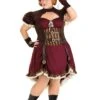 Plus Size Women's Steampunk Lady Costume -Halloween Costumes plus size steampunk lady costume