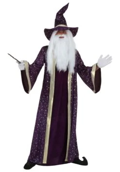 Plus Size Wizard Costume For Adults