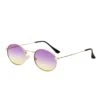 Gold Rim Costume Purple Fade Sunglasses -Halloween Costumes purple fade sunglasses