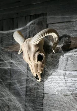 Plastic Prop Ram Skull