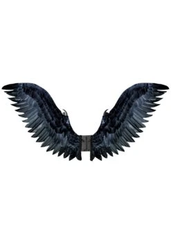Adult Black Raven Cosplay Costume Wings