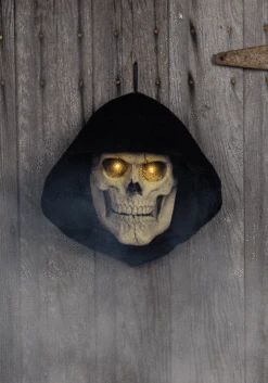 Haunting Reaper Skull Seasonal Visions International Door Decoration