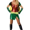 Robin Sexy Girl Costume W/ Mask -Halloween Costumes robin girl sexy costume