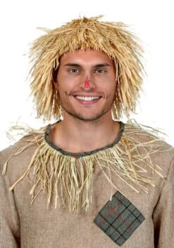 Scarecrow Costume Wig For Adults