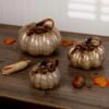 Set Of 3 White & Gold Glass Pumpkins 2 Set Of 3 White & Gold Glass Pumpkins -Halloween Costumes set of 3 white and gold glass pumpkins upd