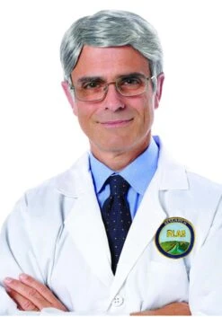 Silver Fox Men's Wig