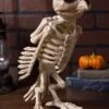 Halloween Owl Skeleton Decoration -Halloween Costumes skeleton owl