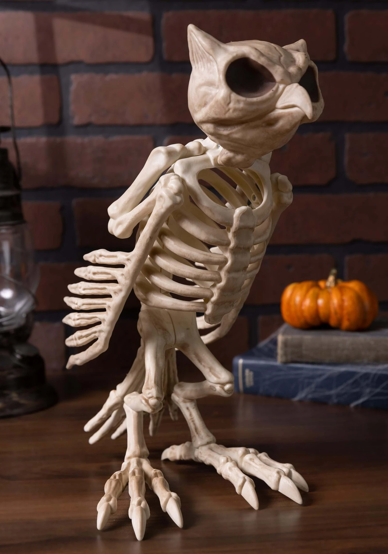 Halloween Owl Skeleton Decoration 3 Halloween Owl Skeleton Decoration