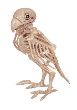 7.5-Inch Skeleton Parrot Decoration