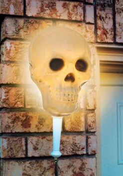 Complete Skull Porch Light Cover Or Wall Halloween Decoration