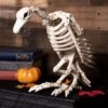 14" Skeleton Vulture 1 14" Skeleton Vulture -Halloween Costumes skeleton vulture