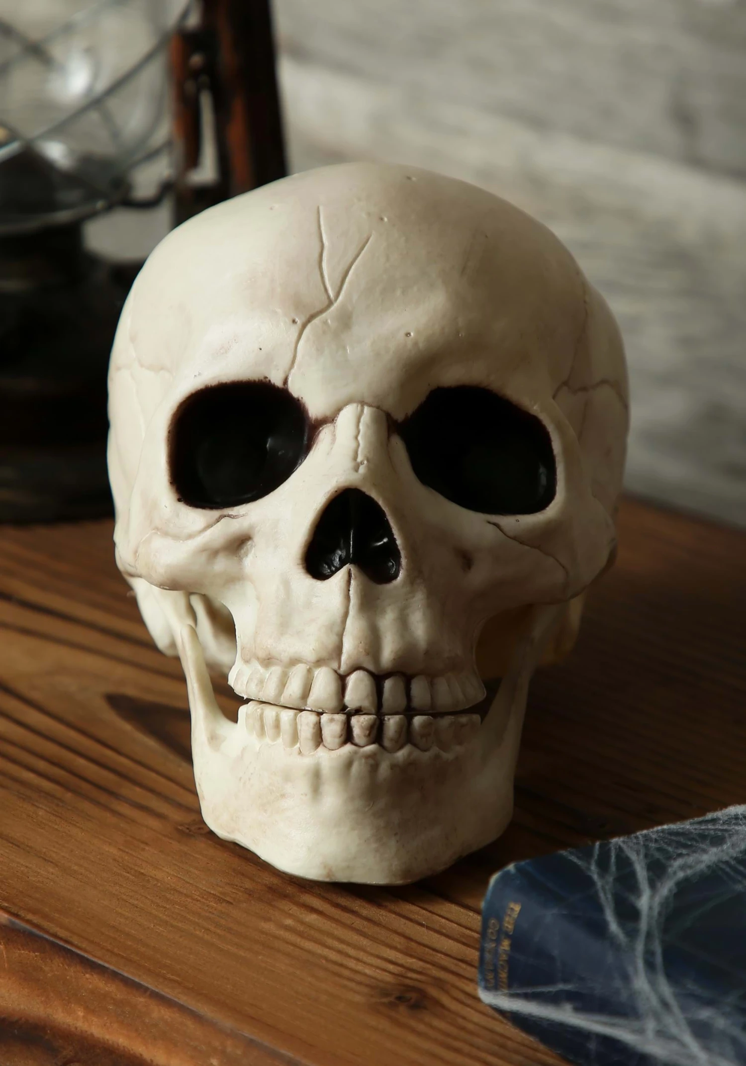 Skull With Movable Jaw 6 Skull With Movable Jaw - Image 4