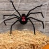 Black Widow Spider Halloween Decoration 1 Black Widow Spider Halloween Decoration -Halloween Costumes spider black widow