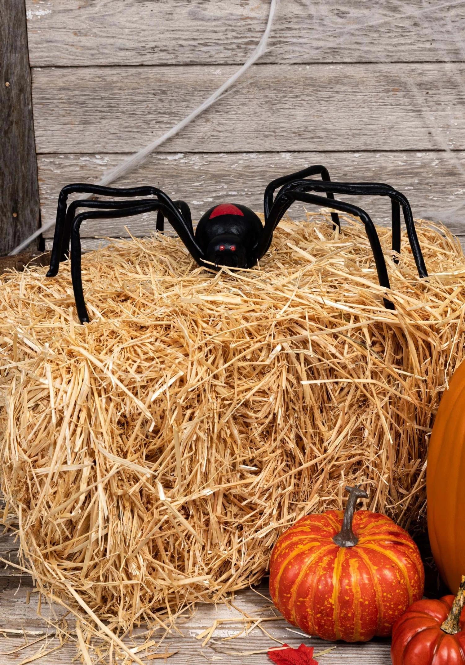 Black Widow Spider Halloween Decoration 4 Black Widow Spider Halloween Decoration - Image 2