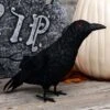 13-Inch Standing Black Crow Halloween Prop -Halloween Costumes standing black crow prop