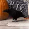 13-Inch Standing Black Crow Decoration 1 13-Inch Standing Black Crow Decoration -Halloween Costumes standing crow squawking