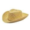Straw Cowboy Hat -Halloween Costumes straw cowboy hat