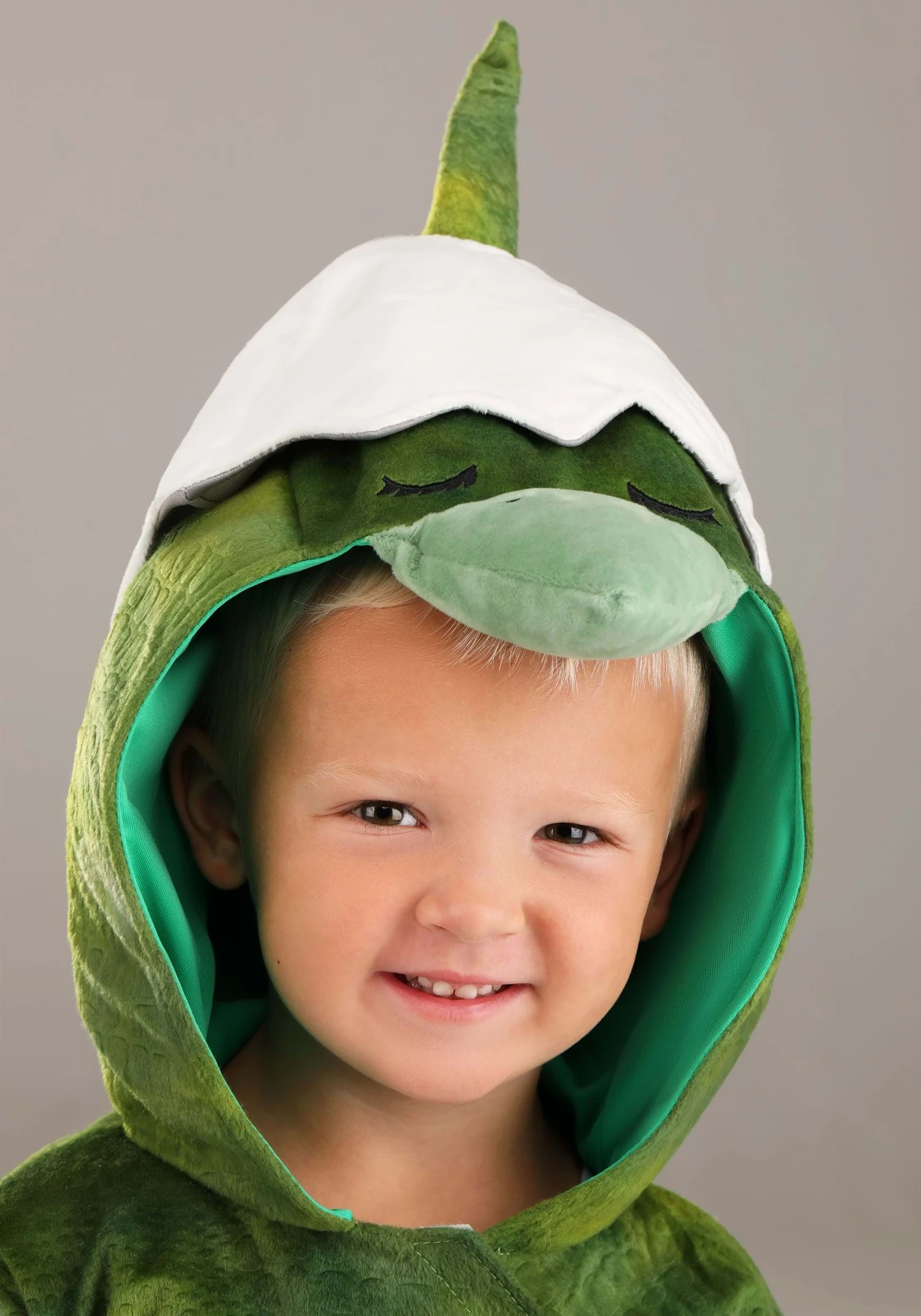 Hatching Pterodactyl Costume For Toddlers 6 Hatching Pterodactyl Costume For Toddlers - Image 4