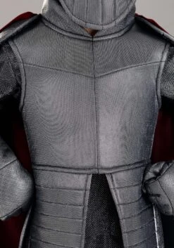 Royal Knight Costume For Toddlers 13 Royal Knight Costume For Toddlers -Halloween Costumes toddler royal knight costume alt 3