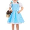 Classic Dorothy Wizard Of Oz Costume For Toddlers -Halloween Costumes toddlers classic dorothy wizard of oz costume1 update