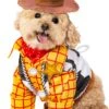 Toy Story Woody Costume For Dog -Halloween Costumes toy story woody pet costume