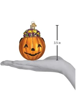 Trick-or-Treat Jack O Lantern Christmas Ornament -Halloween Costumes trick or treat jack o lantern ornament alt 3