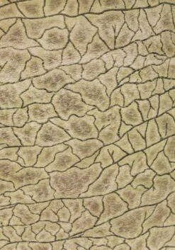 Two Person Brawny Brontosaurus Costume For Adults 11 Two Person Brawny Brontosaurus Costume For Adults -Halloween Costumes two person brawny brontosaurus costume alt 4