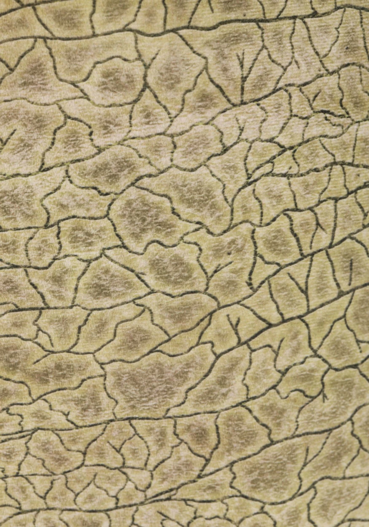 Two Person Brawny Brontosaurus Costume For Adults 7 Two Person Brawny Brontosaurus Costume For Adults - Image 5