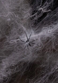 200 Square FT White Spider Web Halloween Prop -Halloween Costumes white spider web decoration alt 2