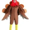 Adult Wild Turkey Costume 2 Adult Wild Turkey Costume -Halloween Costumes wild turkey adult costume