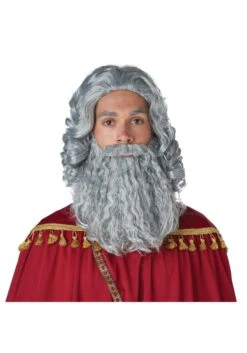 Men's Wise Man Costume Gray Wig And Beard Set