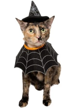 Witch Hat And Collar Pet Set