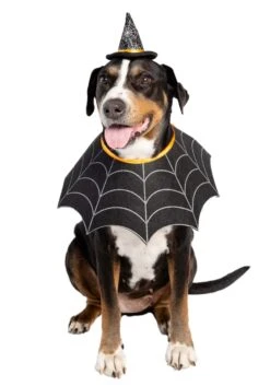Witch Hat And Collar Pet Set -Halloween Costumes witch hat collar pet set alt 2