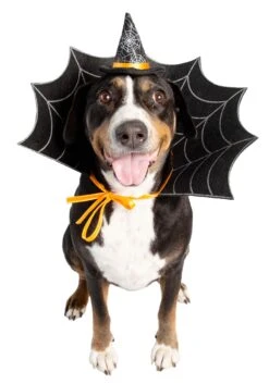 Witch Hat And Collar Pet Set -Halloween Costumes witch hat collar pet set alt 3