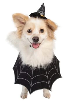 Witch Hat And Collar Pet Set -Halloween Costumes witch hat collar pet set alt 4