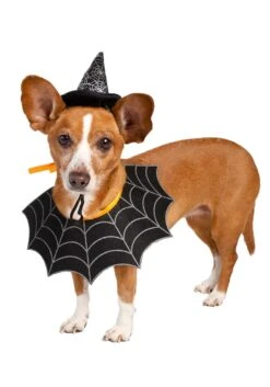 Witch Hat And Collar Pet Set -Halloween Costumes witch hat collar pet set alt 5