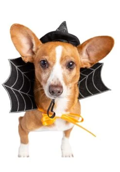 Witch Hat And Collar Pet Set -Halloween Costumes witch hat collar pet set alt 6