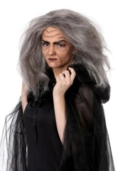 Women's Witch/Old Lady Grey Costume Wig