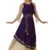 Women's Aphrodite Goddess Plus Size Costume -Halloween Costumes womens aphrodite goddess plus size costume