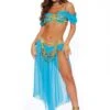 Dreamgirl Genie's Delight Costume For Women -Halloween Costumes womens genies delight costume