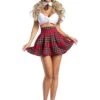 Sexy Homeroom Hottie Costume For Women -Halloween Costumes womens homeroom hottie