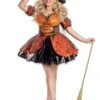 Women's Plus Size Harvest Witch Costume