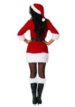 Plus Size Women's Secret Santa Costume -Halloween Costumes womens plus secret santa costume back